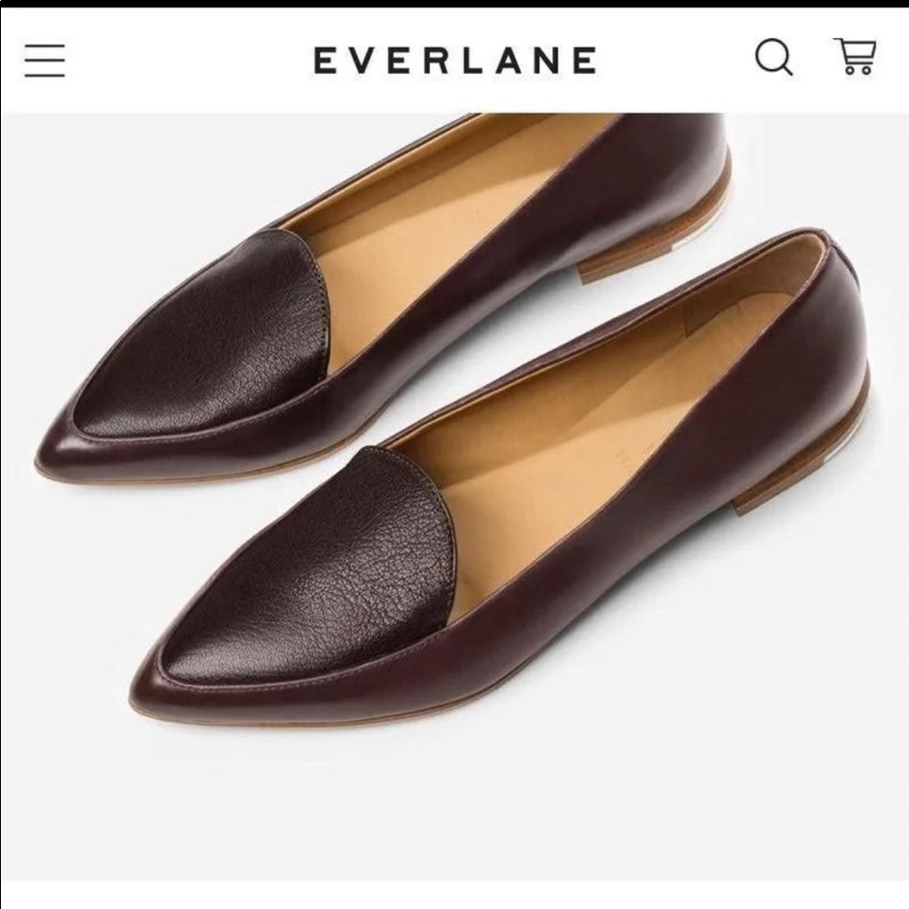 Everlane pointed flat